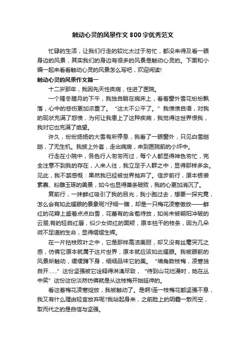 触动心灵的风景作文800字优秀范文