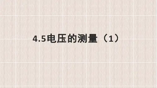 浙教版科学八年级上册电压的测量(课件19张)
