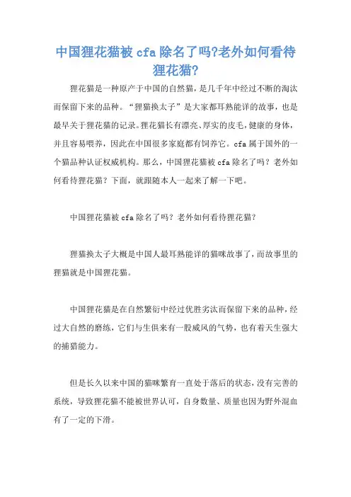 中国狸花猫被cfa除名了吗-老外如何看待狸花猫-