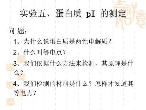 重庆大学生物化学实验_实验五 蛋白质pI测定