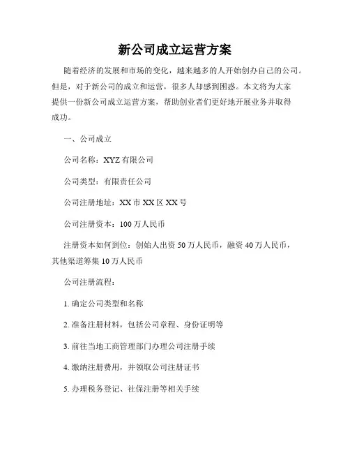 新公司成立运营方案
