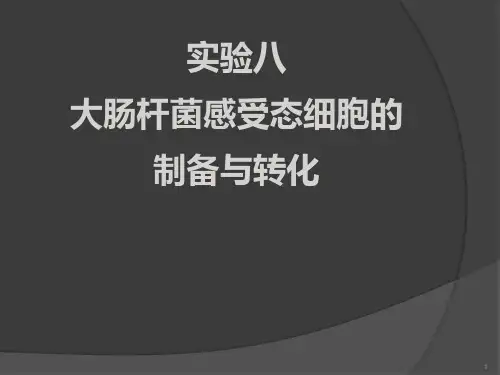大肠杆菌感受态细胞的制备与转化ppt课件