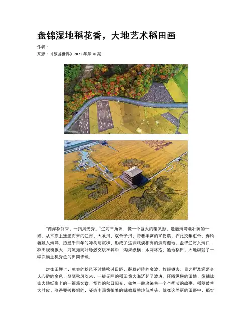 盘锦湿地稻花香，大地艺术稻田画