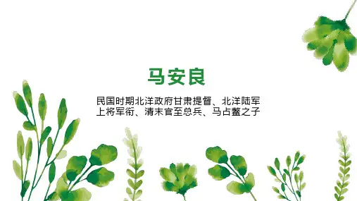 马安良    
