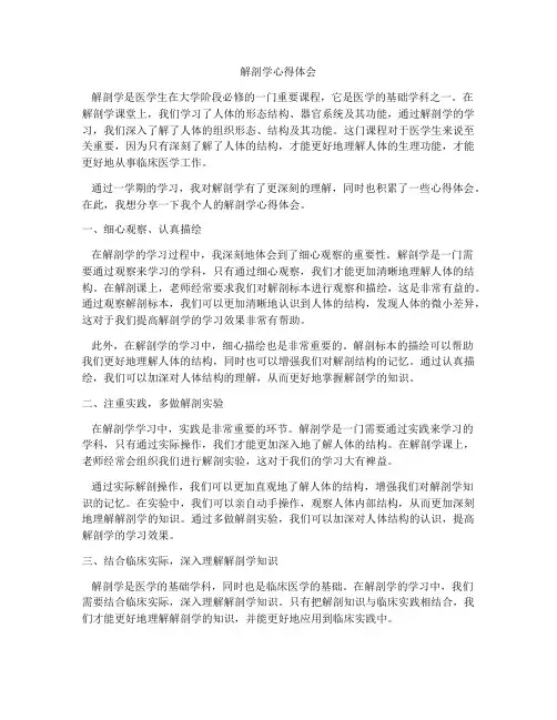 解剖学心得体会