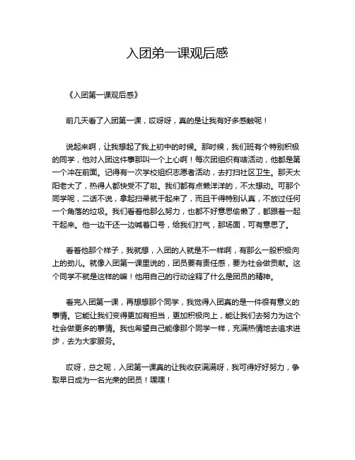 入团弟一课观后感