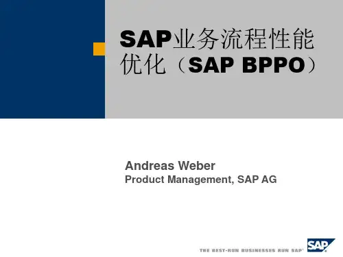 SAP业务流程性能优化(SAP BPPO) BPPO_Technical_Brief_CN