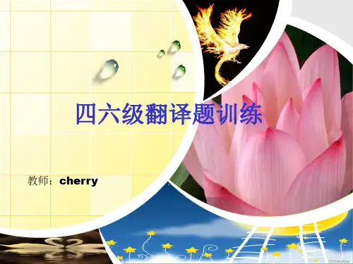 四六级翻译真题.ppt