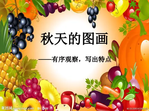 秋天的图画——有序观察,写出特点