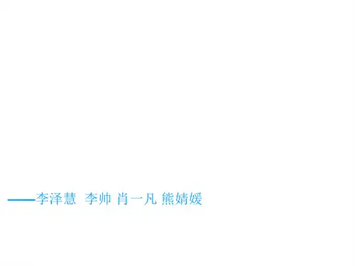 公司网络治理PPT课件