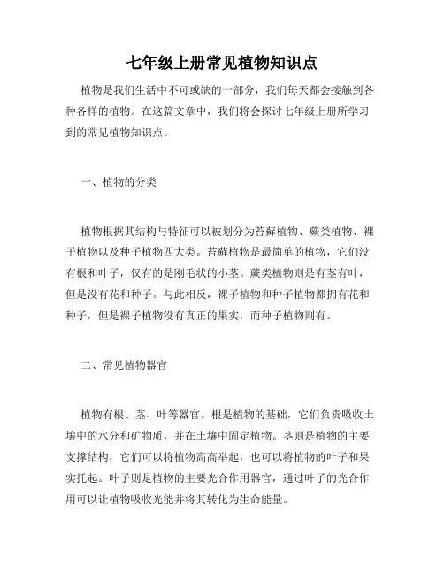 七年级上册常见植物知识点