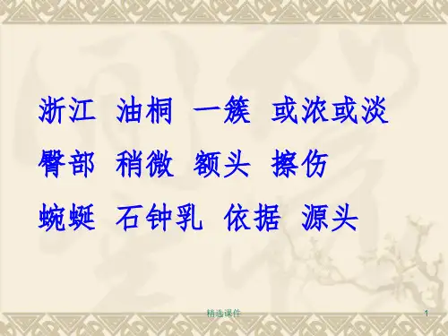 《记金华的双龙洞》PPT课件