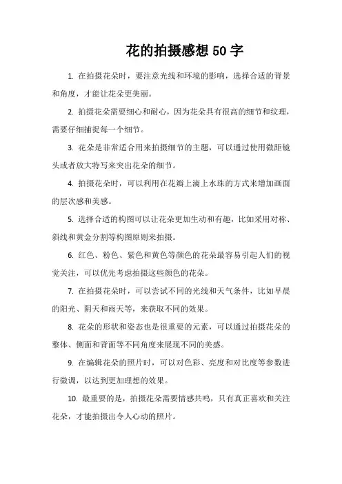 花的拍摄感想50字 -回复