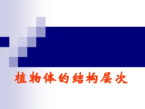 《植物体的结构层次PPT课件》