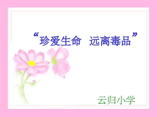 珍爱生命  远离毒品PPT课件