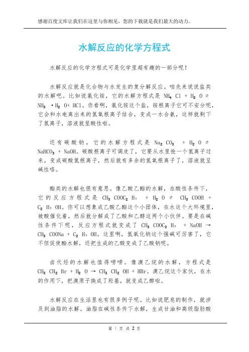 水解反应的化学方程式