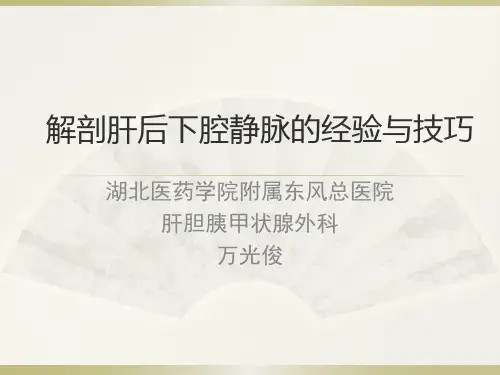 解剖肝后下腔静脉的经验与技巧