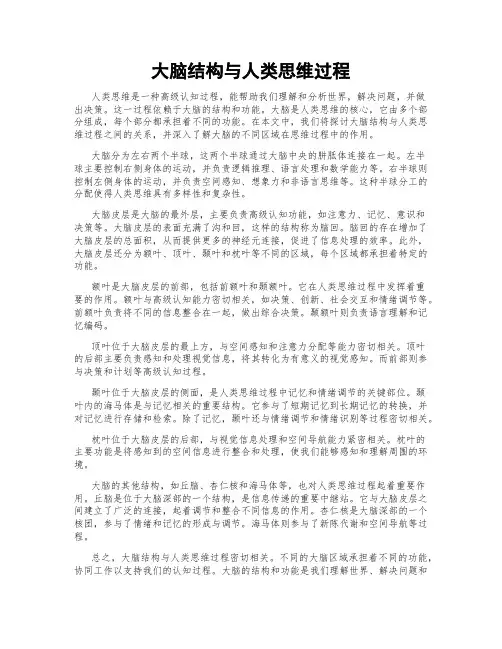 大脑结构与人类思维过程