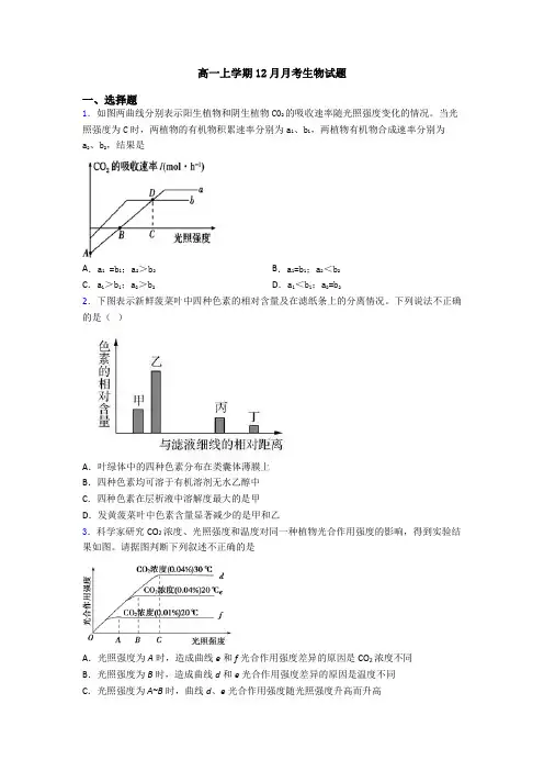高一上学期12月月考生物试题
