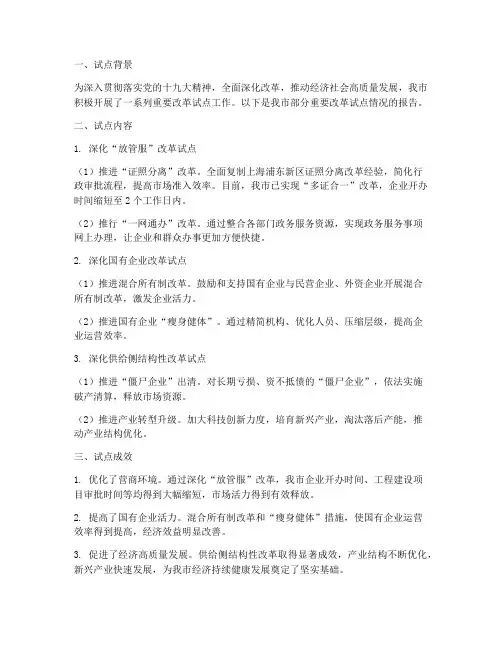重要改革试点情况报告