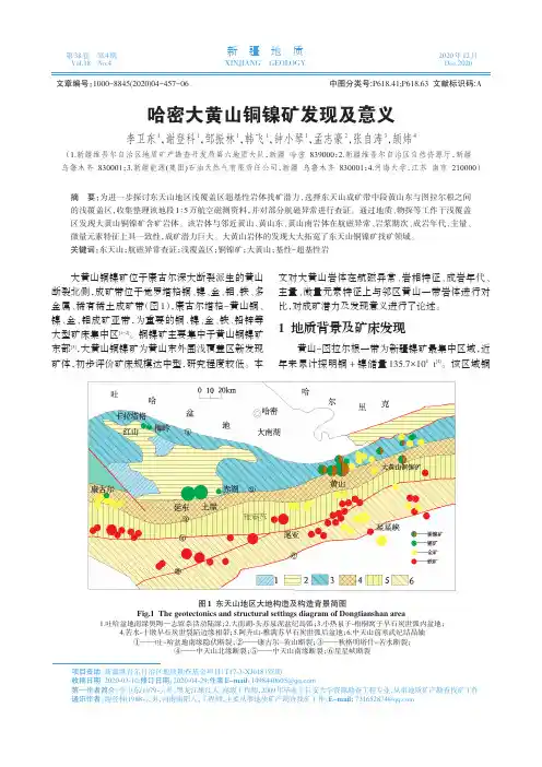 哈密大黄山铜镍矿发现及意义