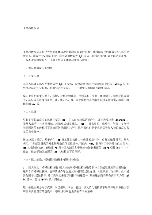 1型超敏反应