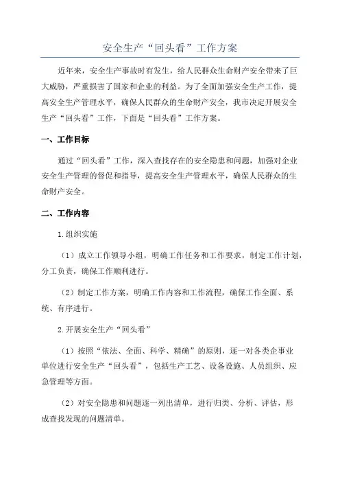 安全生产“回头看”工作方案
