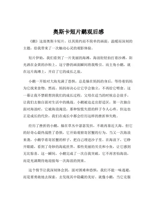 奥斯卡短片鹬观后感
