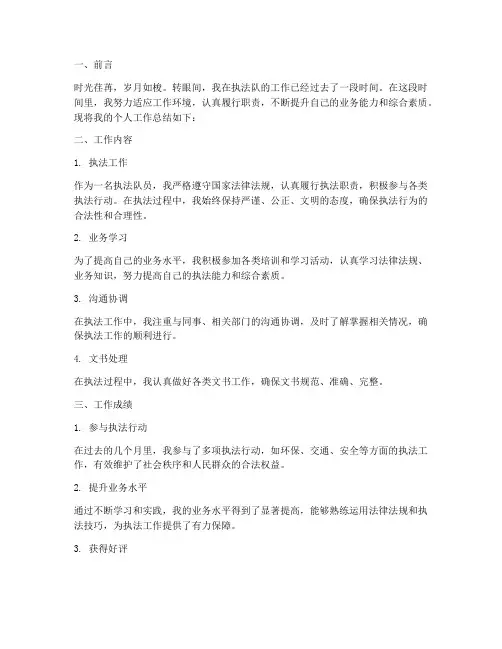 执法队个人工作总结