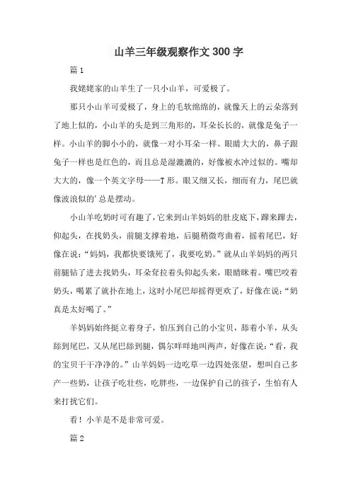 山羊三年级观察作文300字