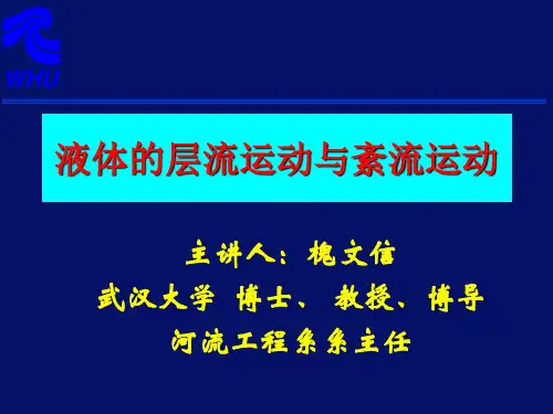 层流运动与紊流运动