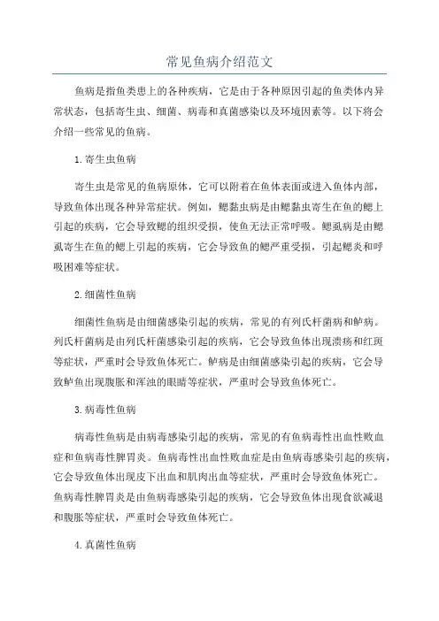 常见鱼病介绍范文