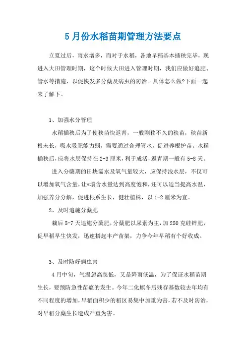 5月份水稻苗期管理方法要点