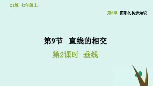 浙教版七年级数学上册第6章图形的初步知识6.9直线的相交第二课时垂线 