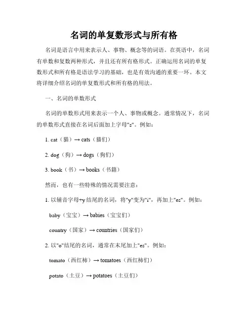 名词的单复数形式与所有格