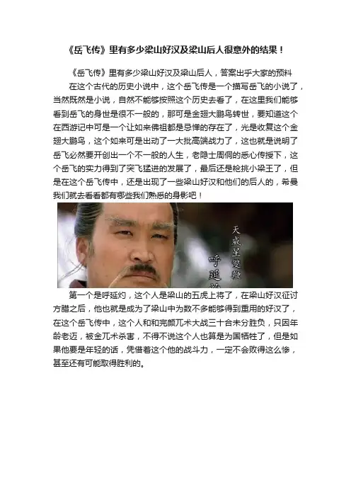 《岳飞传》里有多少梁山好汉及梁山后人很意外的结果！
