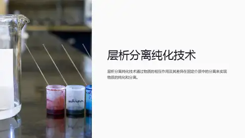 《层析分离纯化技术》课件