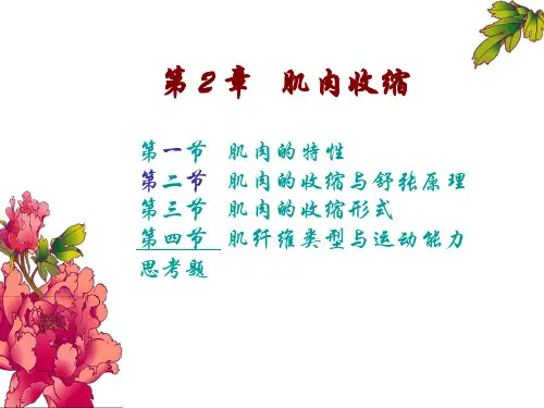 骨骼肌机能PPT课件