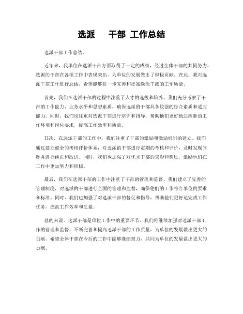 选派   干部 工作总结