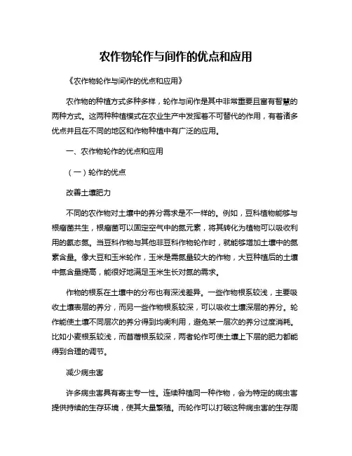 农作物轮作与间作的优点和应用