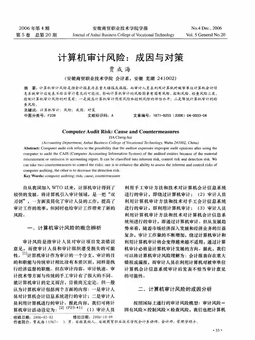 计算机审计风险：成因与对策