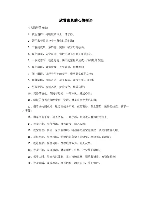欣赏夜景的心情短语