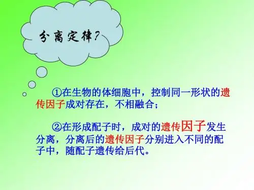 高二生物遗传的染色体学说
