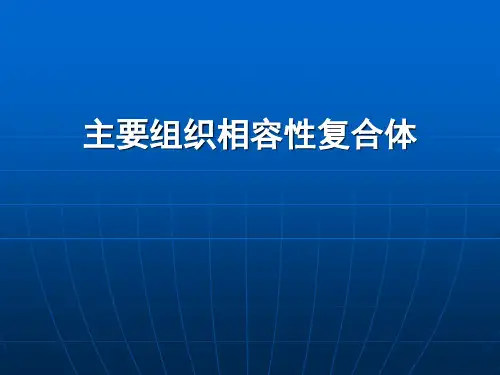 免疫学11主要组织相容性复合体
