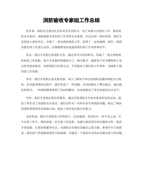 消防验收专家组工作总结