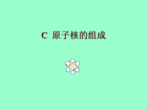 C--原子核的组成课件