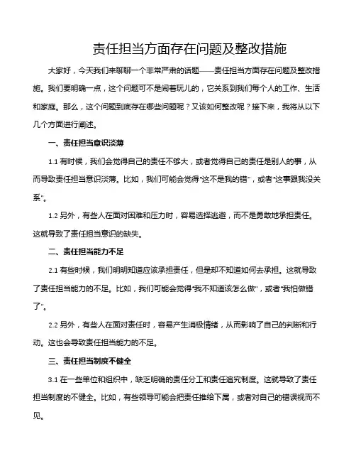 责任担当方面存在问题及整改措施