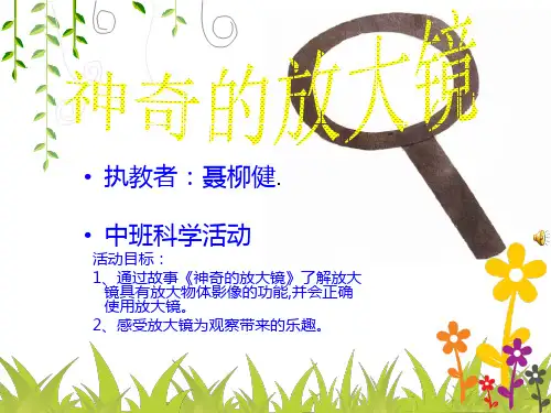神奇的放大镜(修改版))