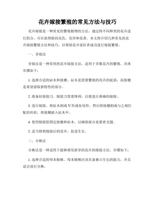 花卉嫁接繁殖的常见方法与技巧