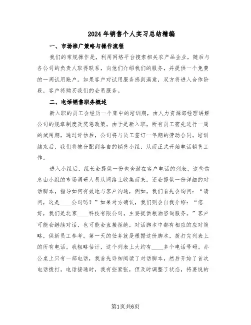 2024年销售个人实习总结精编（二篇）